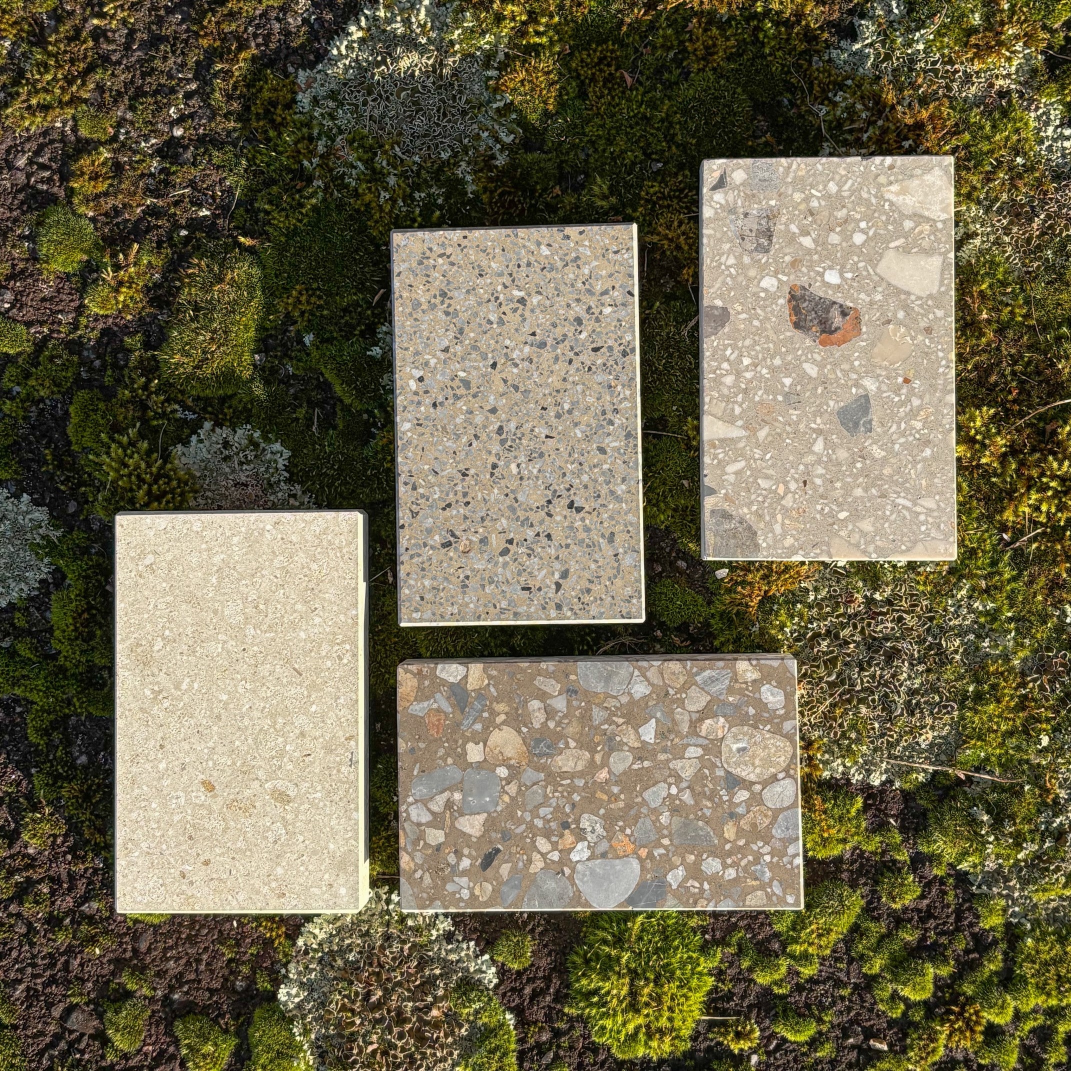 Brun terrazzo på mossa